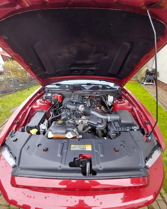 Ford Mustang cena 72500 przebieg: 44700, rok produkcji 2014 z Gdynia małe 56